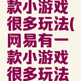 网易有一款小游戏很多玩法(网易有一款小游戏很多玩法是什么)