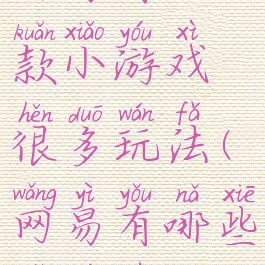 网易有一款小游戏很多玩法(网易有哪些小游戏)