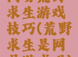 网易荒野求生游戏技巧(荒野求生是网易游戏吗)