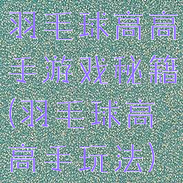 羽毛球高高手游戏秘籍(羽毛球高高手玩法)