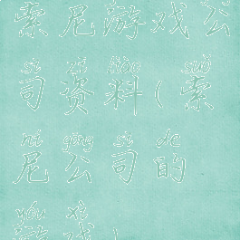 索尼游戏公司资料(索尼公司的游戏)