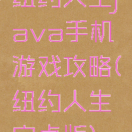纽约人生java手机游戏攻略(纽约人生安卓版)