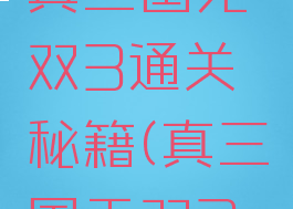 经典游戏真三国无双3通关秘籍(真三国无双3关卡攻略)