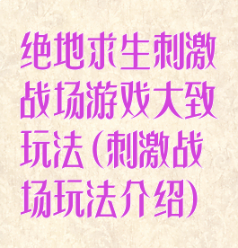 绝地求生刺激战场游戏大致玩法(刺激战场玩法介绍)
