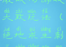 绝地求生刺激战场游戏大致玩法(绝地求生刺激战场怎么玩)