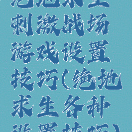 绝地求生刺激战场游戏设置技巧(绝地求生各种设置技巧)