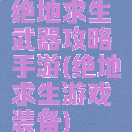 绝地求生武器攻略手游(绝地求生游戏装备)