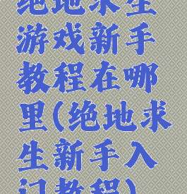 绝地求生游戏新手教程在哪里(绝地求生新手入门教程)