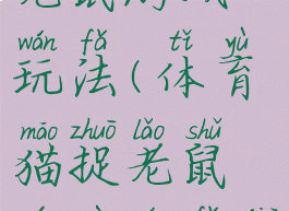 体育猫捉老鼠游戏玩法(体育猫捉老鼠游戏玩法介绍)