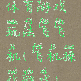 体育游戏玩法飞飞机(飞机操作游戏)