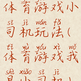 体育游戏小司机玩法(体育游戏我是小司机)