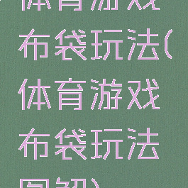 体育游戏布袋玩法(体育游戏布袋玩法图解)