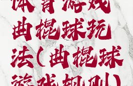 体育游戏曲棍球玩法(曲棍球游戏规则)