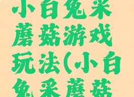 体能游戏小白兔采蘑菇游戏玩法(小白兔采蘑菇游戏规则)