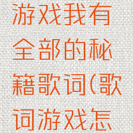 你喜欢的游戏我有全部的秘籍歌词(歌词游戏怎么玩)