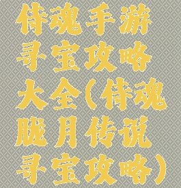 侍魂手游寻宝攻略大全(侍魂胧月传说寻宝攻略)