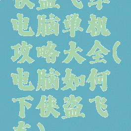 侠盗飞车电脑单机攻略大全(电脑如何下侠盗飞车)