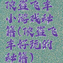 侠盗飞车小游戏秘籍(侠盗飞车好玩的秘籍)