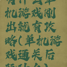 为什么单机游戏刚出就有攻略(单机游戏通关后玩什么)