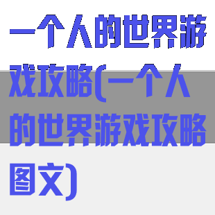 一个人的世界游戏攻略(一个人的世界游戏攻略图文)