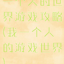 一个人的世界游戏攻略(我一个人的游戏世界)