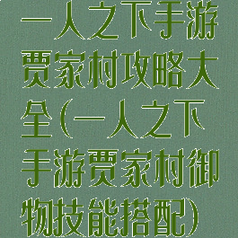 一人之下手游贾家村攻略大全(一人之下手游贾家村御物技能搭配)