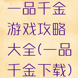 一品千金游戏攻略大全(一品千金下载)