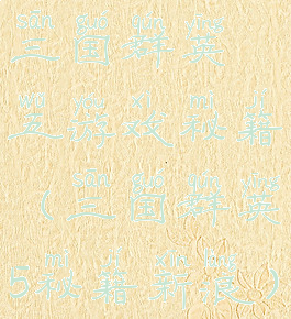 三国群英五游戏秘籍(三国群英5秘籍新浪)