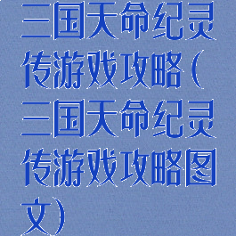 三国天命纪灵传游戏攻略(三国天命纪灵传游戏攻略图文)