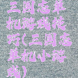 三国志单机游戏技巧(三国志单机小游戏)