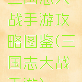 三国志大战手游攻略图鉴(三国志大战手游)