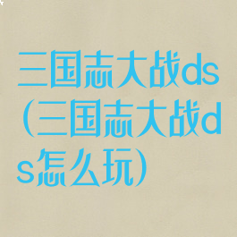 三国志大战ds(三国志大战ds怎么玩)