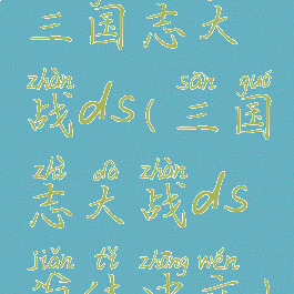 三国志大战ds(三国志大战ds简体中文)