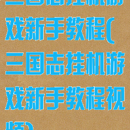 三国志挂机游戏新手教程(三国志挂机游戏新手教程视频)