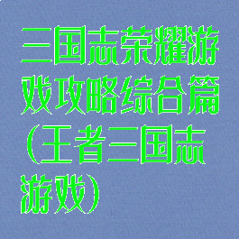 三国志荣耀游戏攻略综合篇(王者三国志游戏)