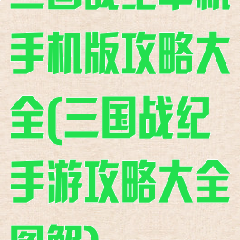 三国战纪单机手机版攻略大全(三国战纪手游攻略大全图解)