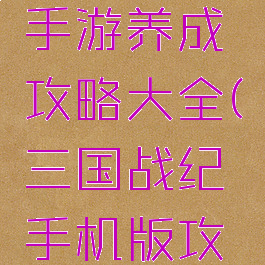 三国战纪手游养成攻略大全(三国战纪手机版攻略)