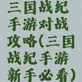 三国战纪手游对战攻略(三国战纪手游新手必看)
