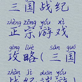 三国战纪正宗游戏攻略(三国战纪端游)
