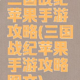 三国战纪苹果手游攻略(三国战纪苹果手游攻略图文)