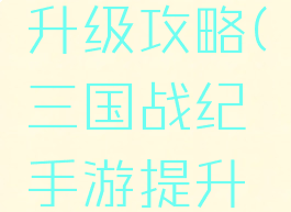 三国战记手游技能升级攻略(三国战纪手游提升战斗力方法?)