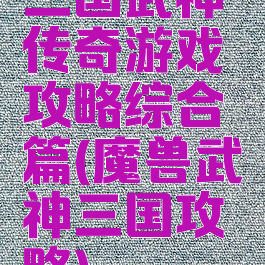 三国武神传奇游戏攻略综合篇(魔兽武神三国攻略)