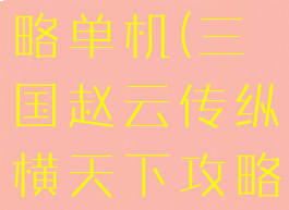 三国赵云传纵横天下攻略单机(三国赵云传纵横天下攻略单机版下载)