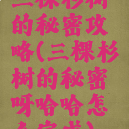 三棵杉树的秘密攻略(三棵杉树的秘密呀哈哈怎么完成)