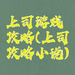 上司游戏攻略(上司攻略小说)