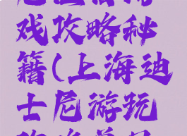 上海迪斯尼住宿游戏攻略秘籍(上海迪士尼游玩攻略单日终极攻略)