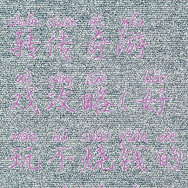 不烧钱玩转传奇游戏攻略(好玩不烧钱的传奇手游)