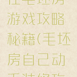 不装修入住毛坯房游戏攻略秘籍(毛坯房自己动手装修攻略)