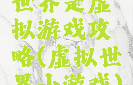 世界是虚拟游戏攻略(虚拟世界小游戏)
