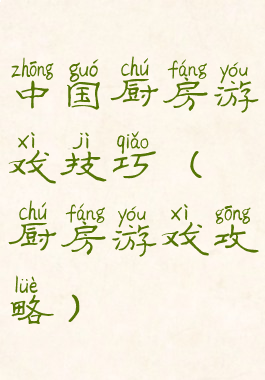 中国厨房游戏技巧(厨房游戏攻略)